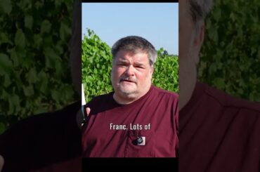 Une Minute Pour Vin : Chateau Grand-Puy-Lacoste 2022 Lacoste Borie