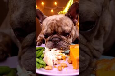 Rare Isabella Frenchie’s FIRST ASMR Mukbang   #ASMRDog #FrenchBulldog #IsabellaFrenchie #DogEating