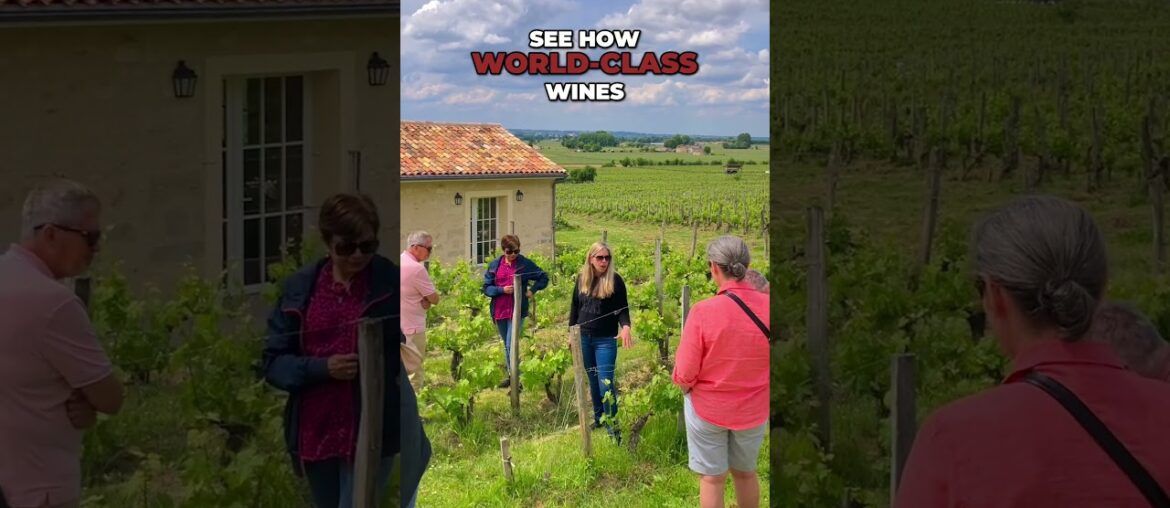 Explore Saint-Émilion With Us - Grand Cru Wine & UNESCO Village Tour