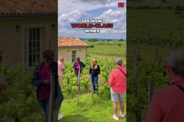 Explore Saint-Émilion With Us - Grand Cru Wine & UNESCO Village Tour