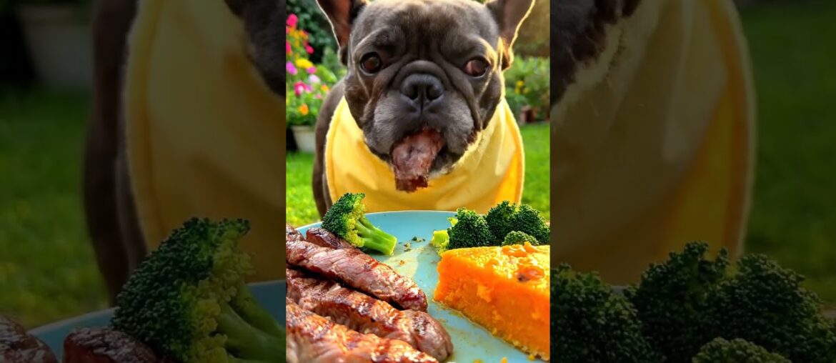 Rare Isabella Frenchie’s FIRST ASMR Mukbang   #ASMRDog #FrenchBulldog #IsabellaFrenchie #DogEating