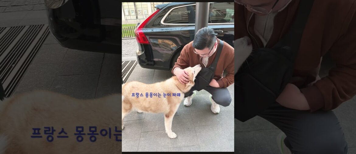 프랑스 여행기 🇫🇷  #travel #france #wine