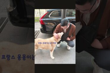 프랑스 여행기 🇫🇷  #travel #france #wine