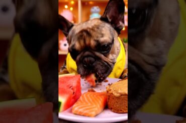 Rare Isabella Frenchie’s FIRST ASMR Mukbang   #ASMRDog #FrenchBulldog #IsabellaFrenchie #DogEating