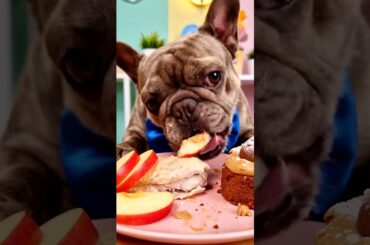 Rare Isabella Frenchie’s FIRST ASMR Mukbang   #ASMRDog #FrenchBulldog #IsabellaFrenchie #DogEating