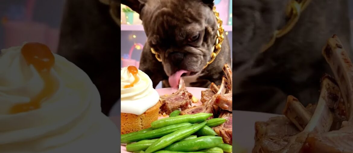 Rare Isabella Frenchie’s FIRST ASMR Mukbang   #ASMRDog #FrenchBulldog #IsabellaFrenchie #DogEating