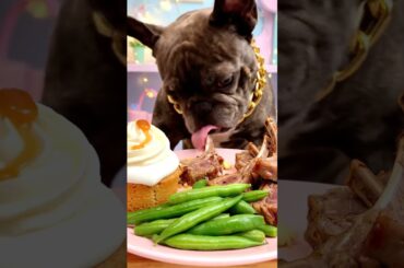 Rare Isabella Frenchie’s FIRST ASMR Mukbang   #ASMRDog #FrenchBulldog #IsabellaFrenchie #DogEating