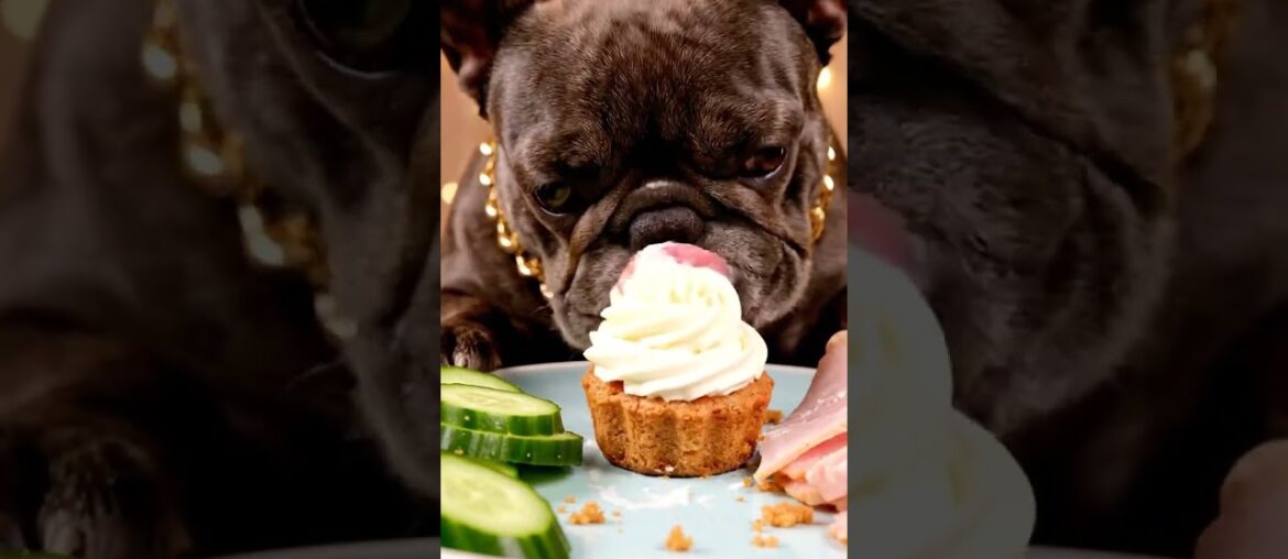 Rare Isabella Frenchie’s FIRST ASMR Mukbang   #ASMRDog #FrenchBulldog #IsabellaFrenchie #DogEating