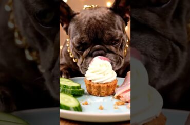 Rare Isabella Frenchie’s FIRST ASMR Mukbang   #ASMRDog #FrenchBulldog #IsabellaFrenchie #DogEating