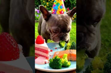 Rare Isabella Frenchie’s FIRST ASMR Mukbang   #ASMRDog #FrenchBulldog #IsabellaFrenchie #DogEating