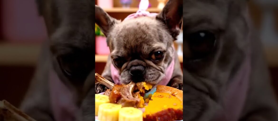 Rare Isabella Frenchie’s FIRST ASMR Mukbang   #ASMRDog #FrenchBulldog #IsabellaFrenchie #DogEating