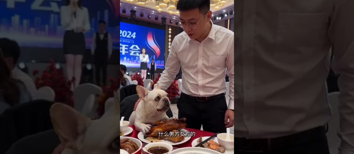 Ultimate Banquet Experience: Creamy Dishes & Pet Paradise