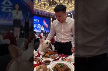 Ultimate Banquet Experience: Creamy Dishes & Pet Paradise