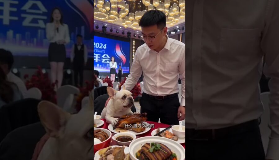 Ultimate Banquet Experience: Creamy Dishes & Pet Paradise