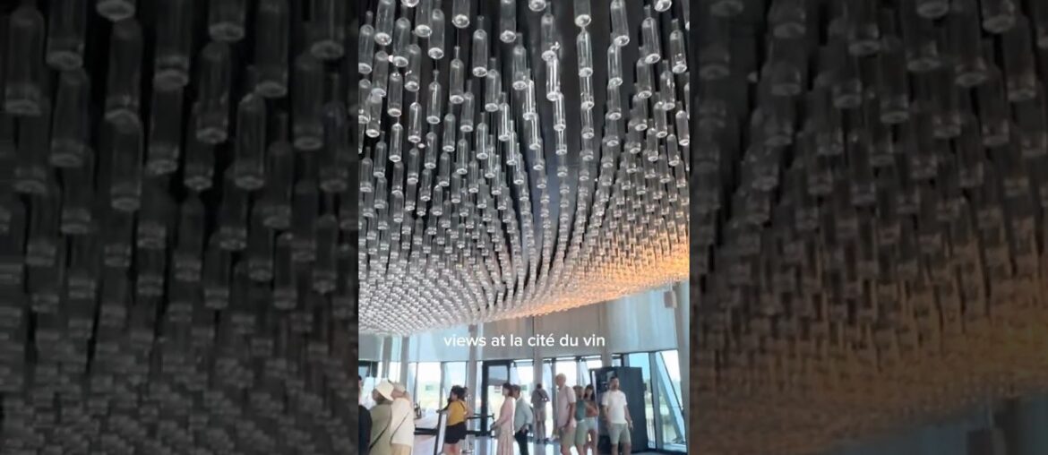 trip to wine museum #france #vlog #wine