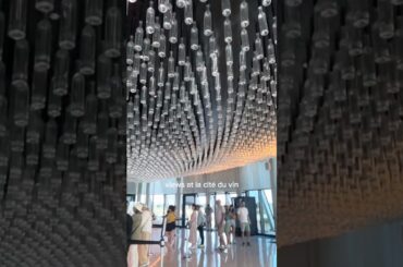 trip to wine museum #france #vlog #wine