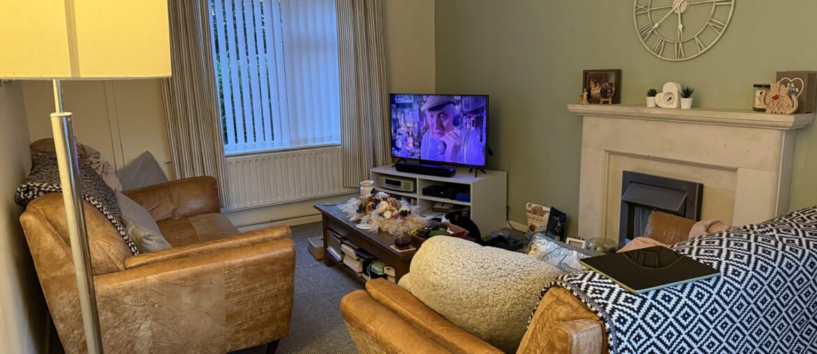 What ceiling light shades would work? What ceiling light shades would work?