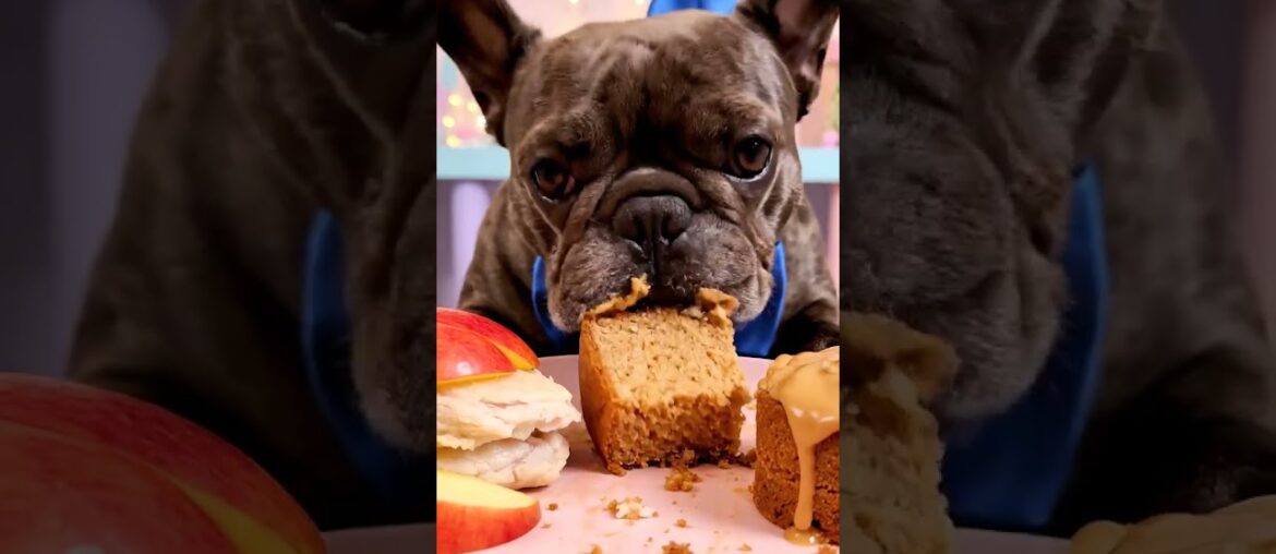 Rare Isabella Frenchie’s FIRST ASMR Mukbang   #ASMRDog #FrenchBulldog #IsabellaFrenchie #DogEating