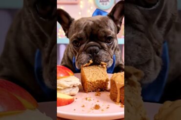 Rare Isabella Frenchie’s FIRST ASMR Mukbang   #ASMRDog #FrenchBulldog #IsabellaFrenchie #DogEating