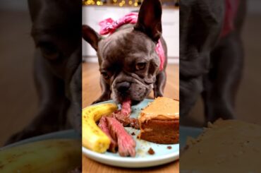 Rare Isabella Frenchie’s FIRST ASMR Mukbang   #ASMRDog #FrenchBulldog #IsabellaFrenchie #DogEating