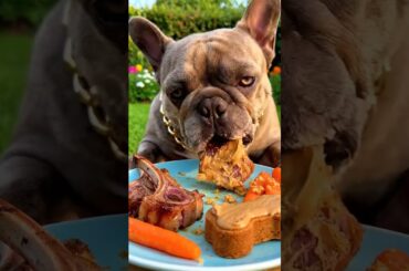 Rare Isabella Frenchie’s FIRST ASMR Mukbang   #ASMRDog #FrenchBulldog #IsabellaFrenchie #DogEating