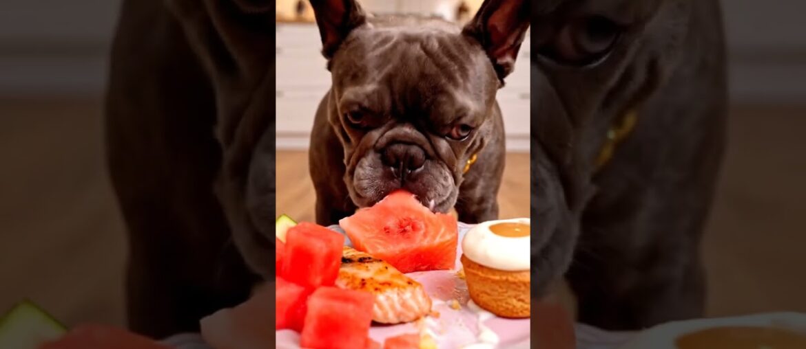 Rare Isabella Frenchie’s FIRST ASMR Mukbang   #ASMRDog #FrenchBulldog #IsabellaFrenchie #DogEating