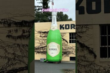 POV: Better than French Wine? The Judgment of Paris Legend 🥂 #shorts