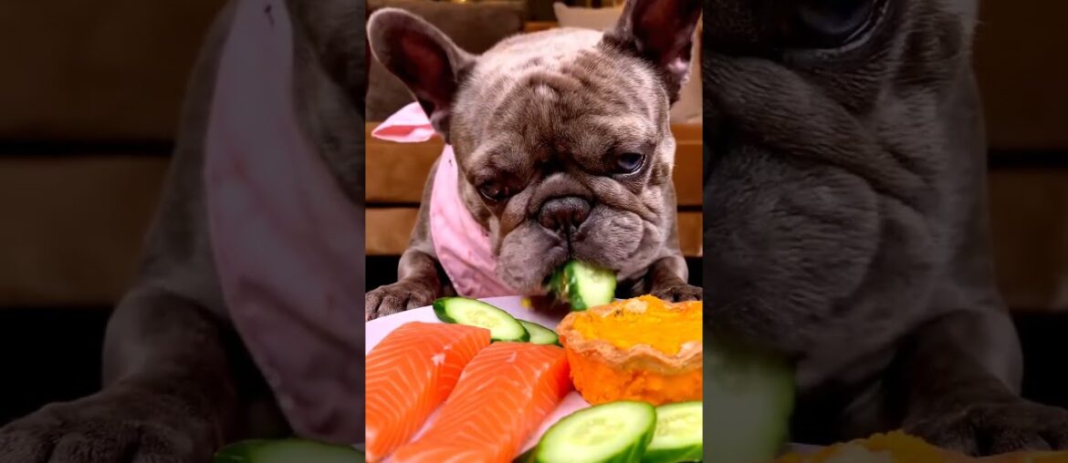 Rare Isabella Frenchie’s FIRST ASMR Mukbang   #ASMRDog #FrenchBulldog #IsabellaFrenchie #DogEating