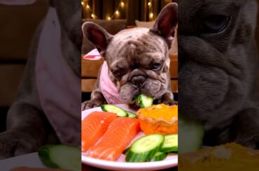 Rare Isabella Frenchie’s FIRST ASMR Mukbang   #ASMRDog #FrenchBulldog #IsabellaFrenchie #DogEating