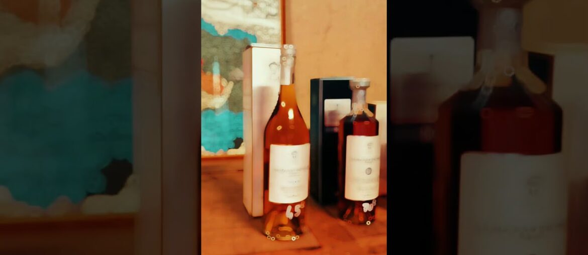 Я живу во Франции и провожу фарфоровые туры в Лиможе и дегустационные в Коньяке.