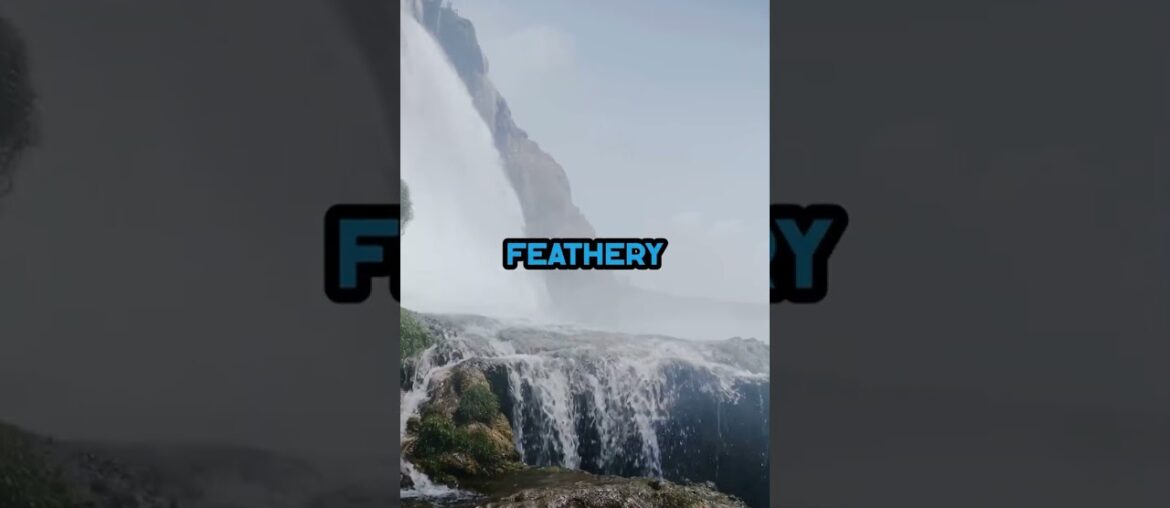 Ducks vs Pests: The Secret to France’s Best Wine! 🦆🍇