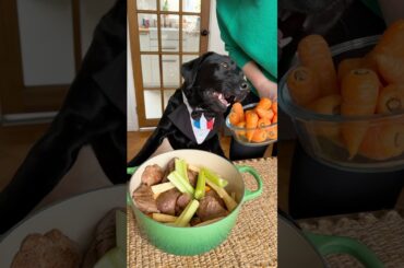 Roots First French Dish #animals #puppy #cute #youtubeshorts #cooking