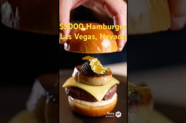 $5000 Hamburger and  Fries in Las Vegas