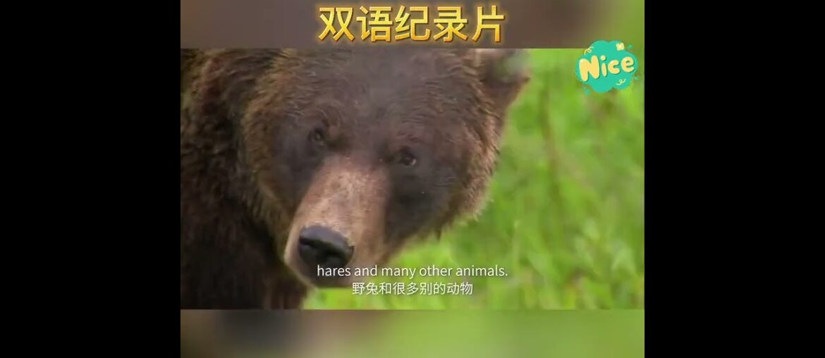 Healthy French Toast Delight 🥞✨