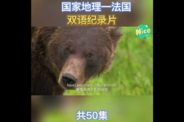 Healthy French Toast Delight 🥞✨