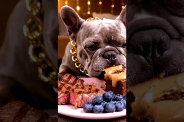 Rare Isabella Frenchie’s FIRST ASMR Mukbang   #ASMRDog #FrenchBulldog #IsabellaFrenchie #DogEating