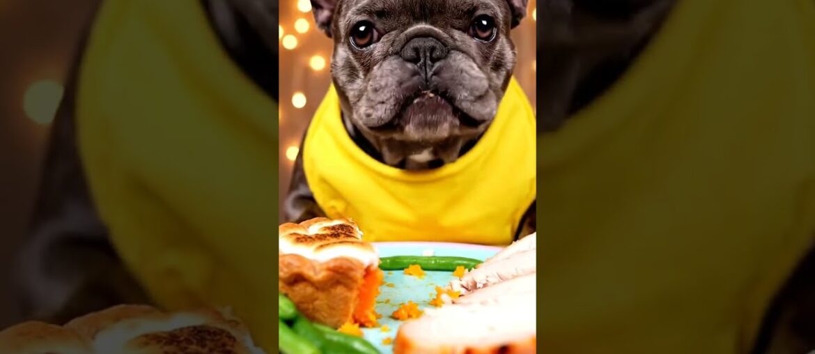 Rare Isabella Frenchie’s FIRST ASMR Mukbang   #ASMRDog #FrenchBulldog #IsabellaFrenchie #DogEating