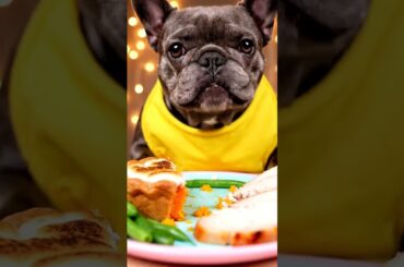 Rare Isabella Frenchie’s FIRST ASMR Mukbang   #ASMRDog #FrenchBulldog #IsabellaFrenchie #DogEating
