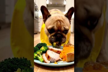 Rare Isabella Frenchie’s FIRST ASMR Mukbang   #ASMRDog #FrenchBulldog #IsabellaFrenchie #DogEating