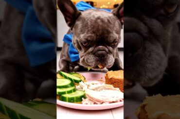 Rare Isabella Frenchie’s FIRST ASMR Mukbang   #ASMRDog #FrenchBulldog #IsabellaFrenchie #DogEating