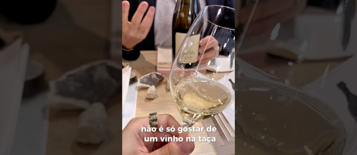 Wine Paris 2026 | Seleção e curadoria de vinhos franceses ✨