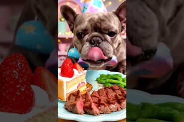Rare Isabella Frenchie’s FIRST ASMR Mukbang   #ASMRDog #FrenchBulldog #IsabellaFrenchie #DogEating