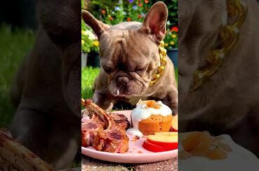 Rare Isabella Frenchie’s FIRST ASMR Mukbang   #ASMRDog #FrenchBulldog #IsabellaFrenchie #DogEating