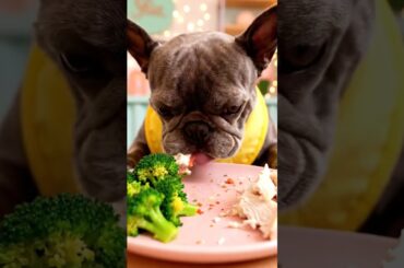 Rare Isabella Frenchie’s FIRST ASMR Mukbang   #ASMRDog #FrenchBulldog #IsabellaFrenchie #DogEating
