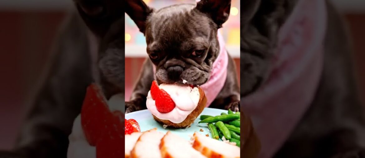 Rare Isabella Frenchie’s FIRST ASMR Mukbang   #ASMRDog #FrenchBulldog #IsabellaFrenchie #DogEating