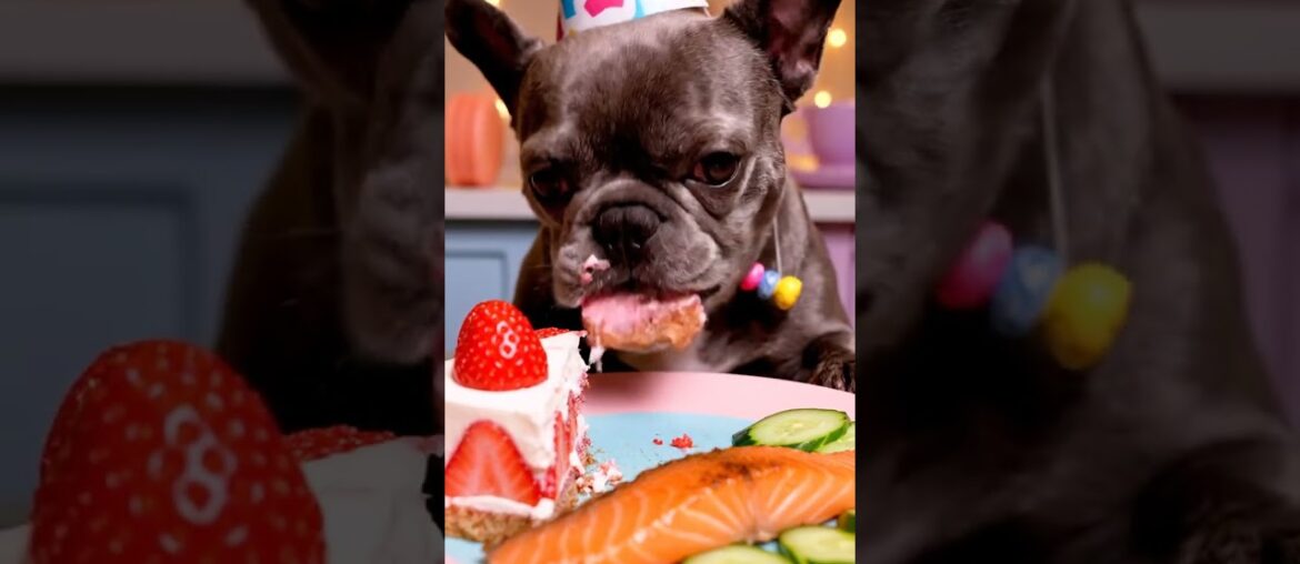Rare Isabella Frenchie’s FIRST ASMR Mukbang   #ASMRDog #FrenchBulldog #IsabellaFrenchie #DogEating