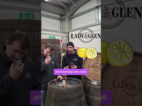 Linkwood 2015 • 10 Year Old Q4 2026 Linkwood 2015 • 10 Year Old Q4 2026