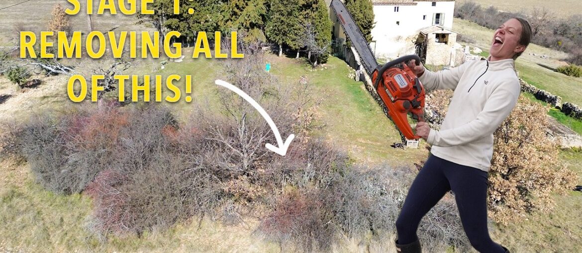 New Project | Outdoor Dining Area & Swimming Pond New Project | Outdoor Dining Area & Swimming Pond