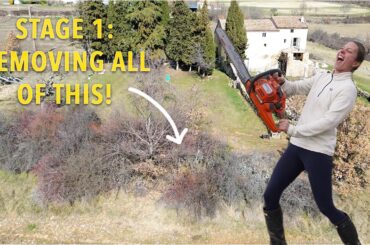 New Project | Outdoor Dining Area & Swimming Pond