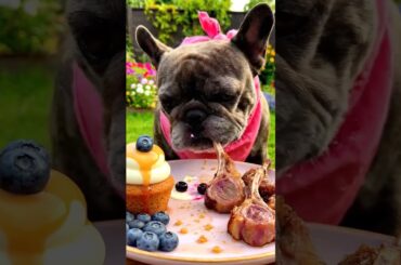 Rare Isabella Frenchie’s FIRST ASMR Mukbang   #ASMRDog #FrenchBulldog #IsabellaFrenchie #DogEating